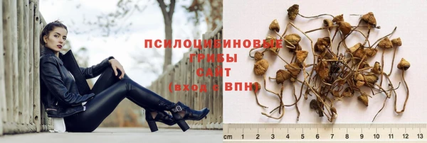 круглые Корсаков