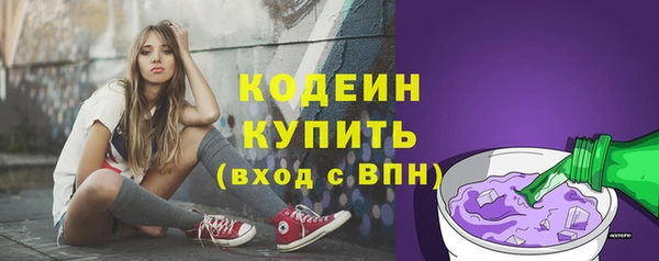 СК Коряжма