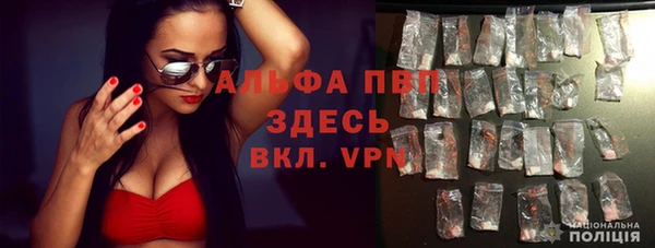 СК Коряжма